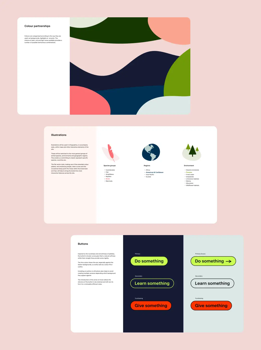 Three slides from the website design direction showing colour partnerships, illustrations and buttons coloured for different functions