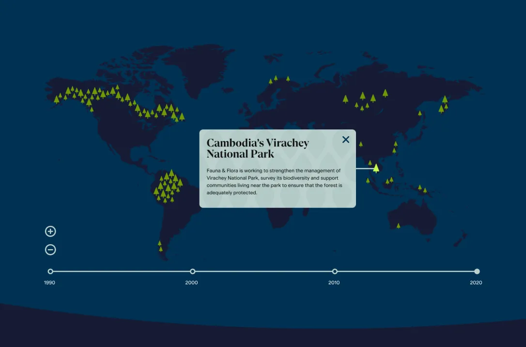 An initial design for a map component showing a map of the world with clickable trees denoting forests, with an area within Cambodia selected